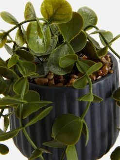 Mały sztuczny wiszący eukaliptus